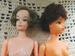 2 clones sandy c